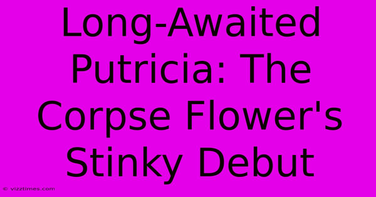 Long-Awaited Putricia: The Corpse Flower's Stinky Debut