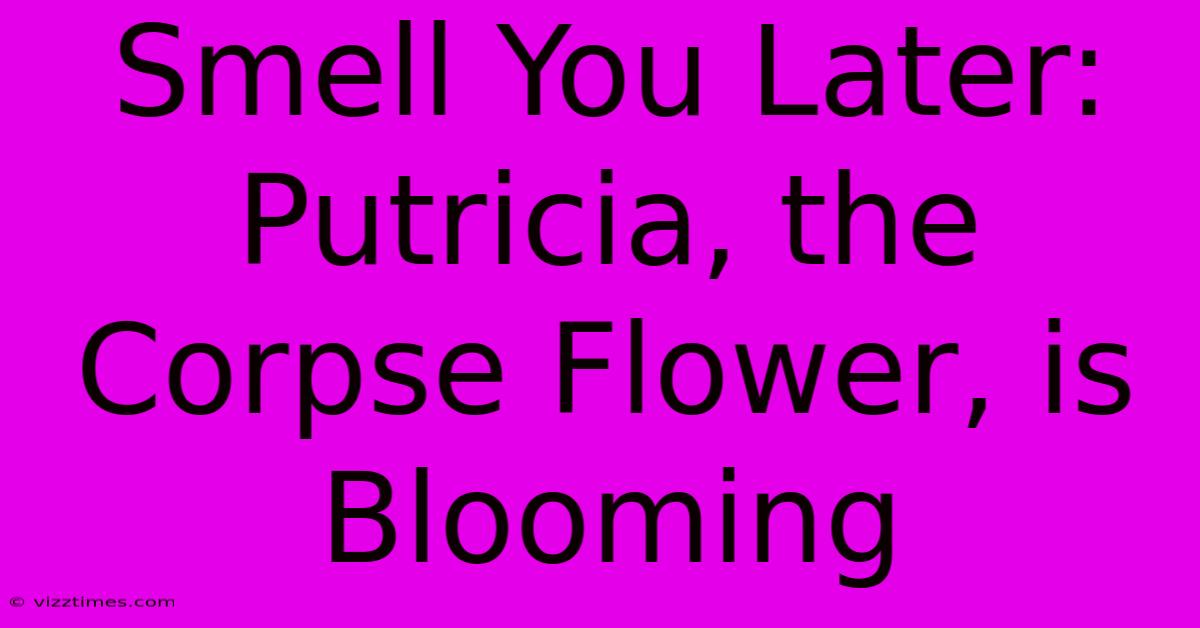 Smell You Later: Putricia, The Corpse Flower, Is Blooming