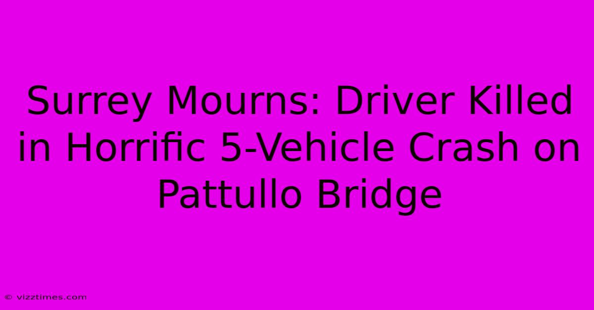 Surrey Mourns: Driver Killed In Horrific 5-Vehicle Crash On Pattullo Bridge