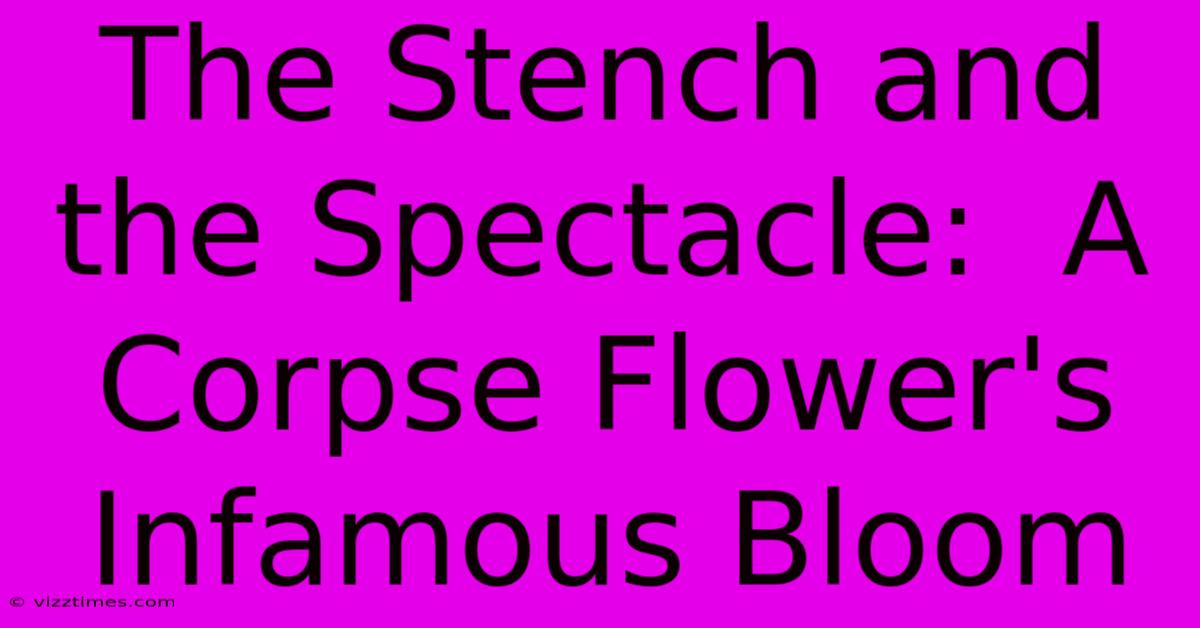 The Stench And The Spectacle:  A Corpse Flower's Infamous Bloom